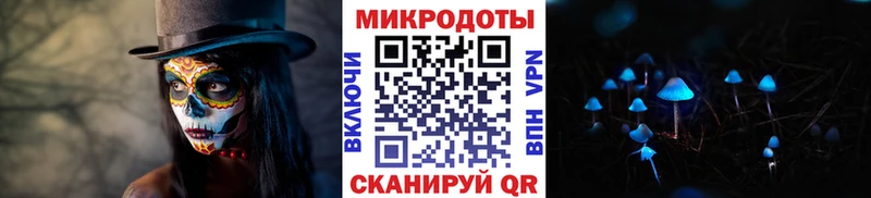 Галлюциногенные грибы Psilocybe  Ханты-Мансийск 